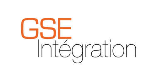 GSE Integration logo